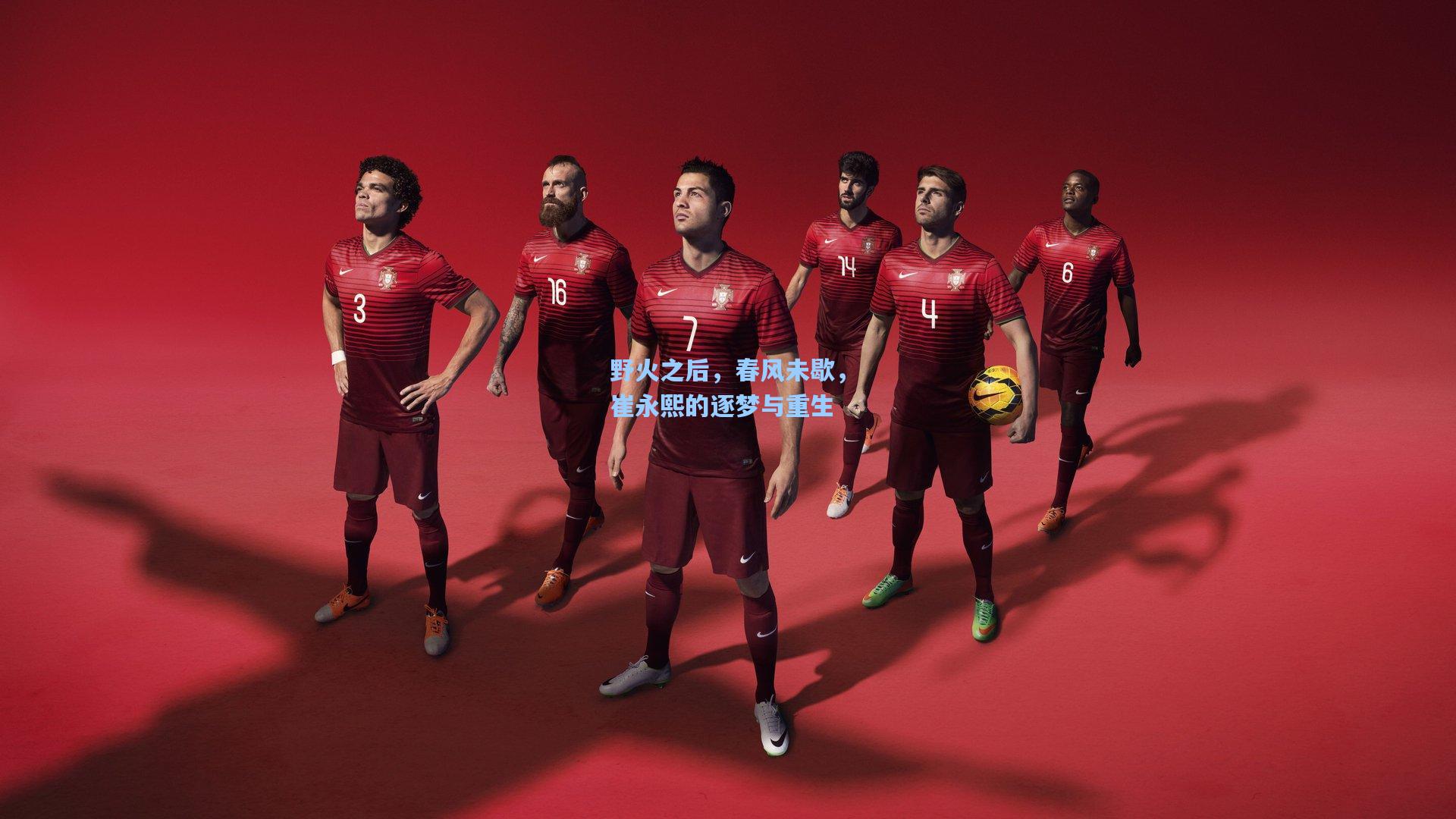 野火之后,春风未歇,崔永熙的逐梦与重生